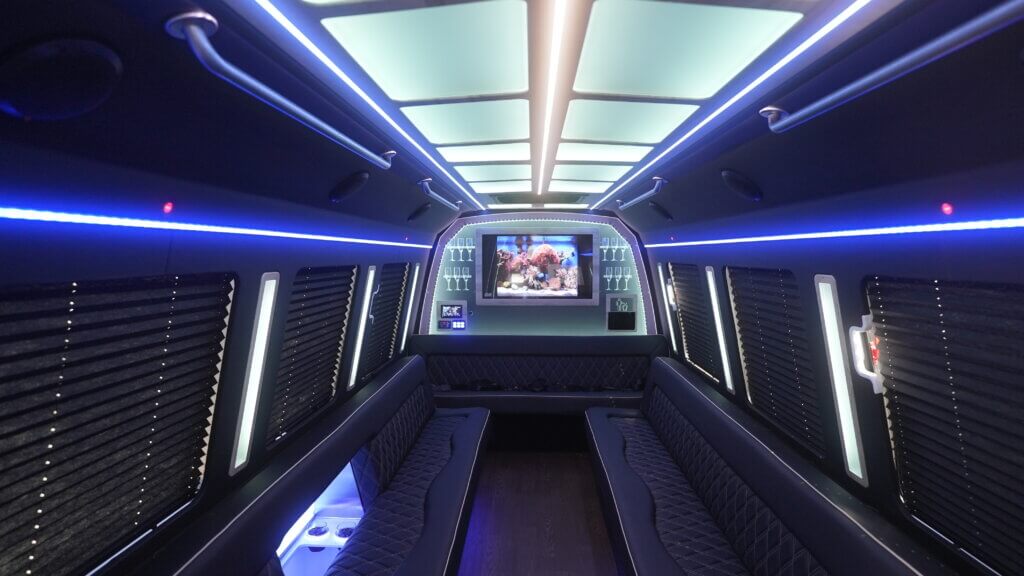 22-passenger party bus