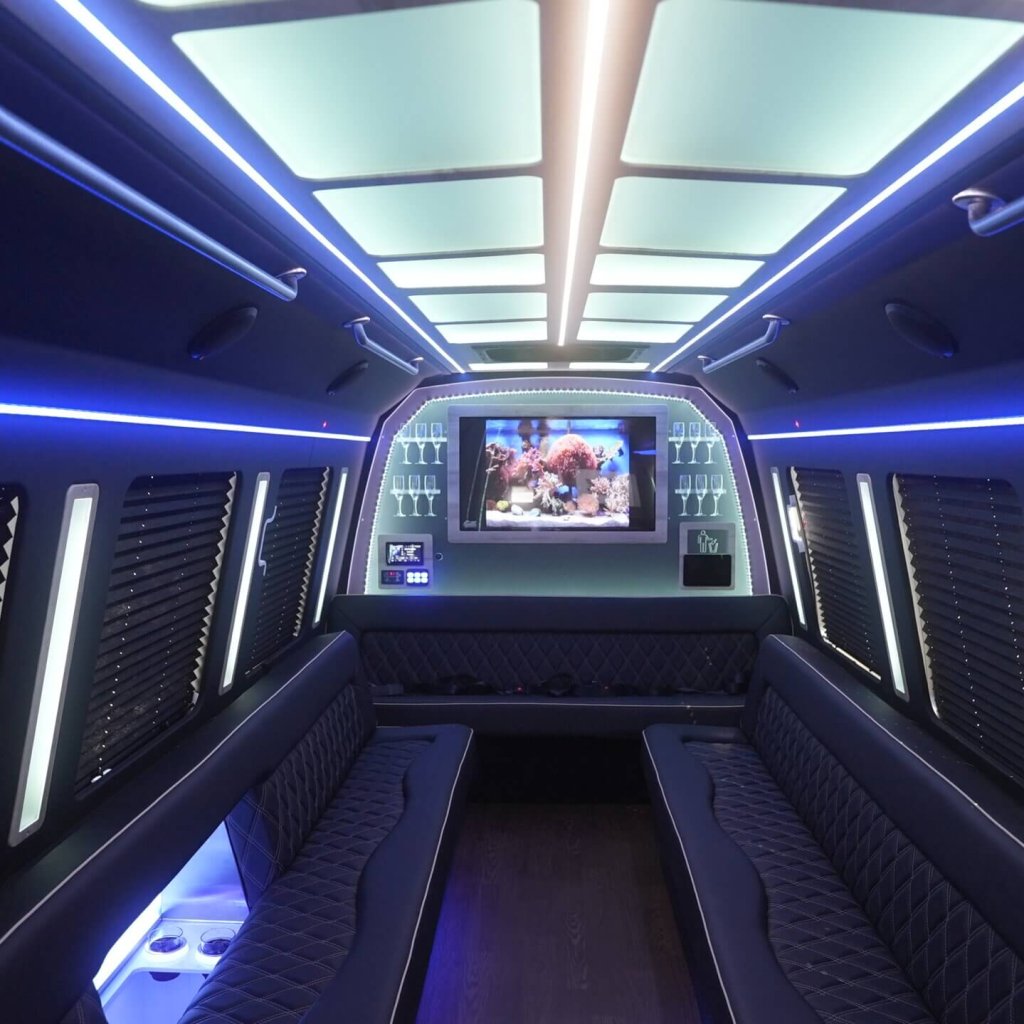 22-passenger party bus